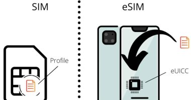 إيه الفرق بين eSIM وSIM التقليدية.. أيهما يناسب احتياجاتك؟