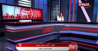 برلماني: وقائع تزوير وسرقة الأختام حالات شاذة ونعد قانونا للموافقات الأمنية