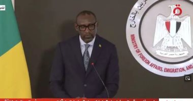 وزير خارجية مالى: مصر لها دور كبير لإيجاد حلول سلمية للأزمات بالمنطقة وأفريقيا