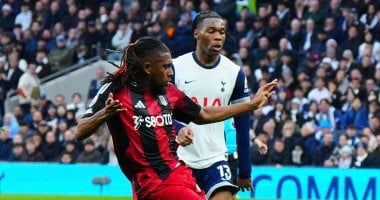 ديربى توتنهام ضد فولهام ينتهى بالتعادل 1-1 فى الدورى الإنجليزى