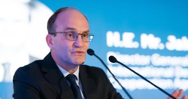 المدير العام لوكالة التعاون الدولى السويدية يزور القاهرة 