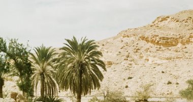 واحة القسيمة.. جوهرة خفية فى شمال سيناء تجمع بين التاريخ والطبيعة (صور)