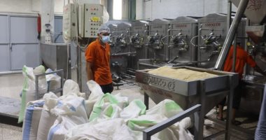 المناطق الصناعية بالقليوبية تضعها على خريطة الصناعة العالمية.. 5 مناطق تصدر صناعات غذائية ومعدنية وطبية ونسيجية لدول العالم.. والمحافظ: الدولة أولت اهتماماً غير مسبوق بإنشاء المجمعات الصناعية