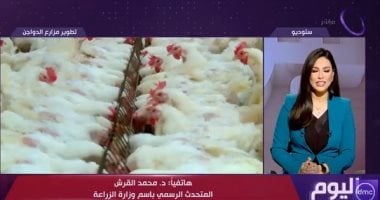 متحدث الزراعة: قروض ميسرة لمزارع الدواجن لعدم توقف الإنتاج خلال الشتاء