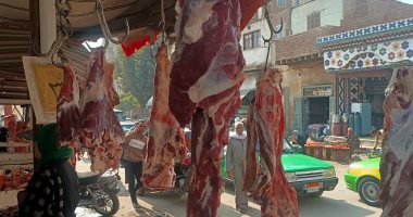 اللحمة البتلو بـ300 جنيه فى مبادرة ضد الغلاء بالمنوفية.. فيديو