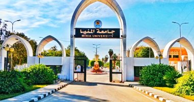 جامعة المنيا ضمن تصنيف التايمز (THE) للجامعات العربية للعام 2024