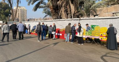 عروض على الخضروات والفواكه بسوق اليوم الواحد فى إمبابة.. فيديو