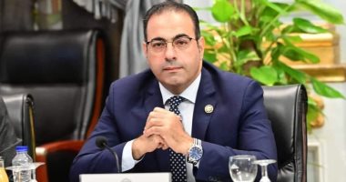 رئيس شباب النواب: 30 يونيو أعادت تماسك الدولة والرئيس تحمل المسئولية فى لحظة حرجة 