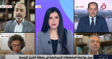 أسامة شعث: مساع مصرية متواصلة لوقف إطلاق النار فى غزة