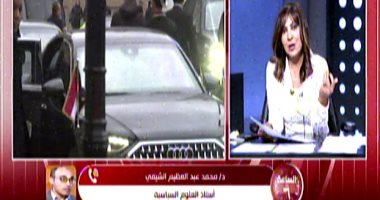 أستاذ علوم سياسية: مصر لها أجندة استثمارية واضحة والدنمارك دولة واعدة عالميا