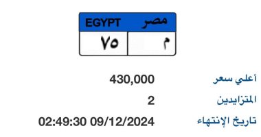 "م - 75" لوحة مميزة بمزاد اللوحات المعدنية بسعر يقترب من نصف مليون جنيه