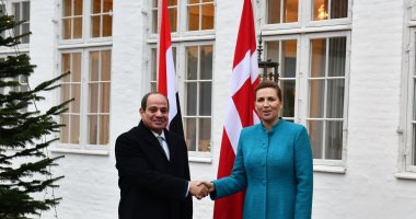 الرئيس السيسى: غزة تعانى وضعا كارثيا يتطلب إدخال المساعدات الإنسانية