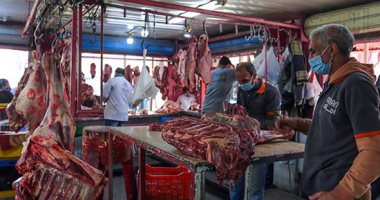 سعر اللحمة اليوم السبت 25-1-2025 بأسواق البحيرة.. من 280 لـ 420 جنيها