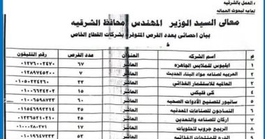 توفير 950 فرصة عمل بالقطاع الخاص فى الشرقية