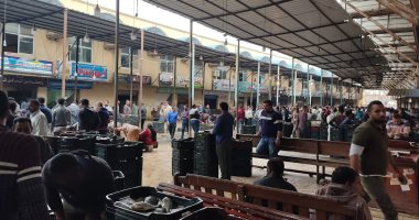 سعر السمك اليوم الخميس 12 ديسمبر بكفر الشيخ.. البلطى بـ80 جنيها