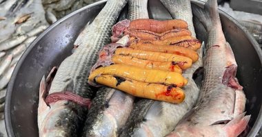 سعر السمك اليوم الخميس 12 ديسمبر بدمياط.. الجمبرى والبورى بـ80 جنيها
