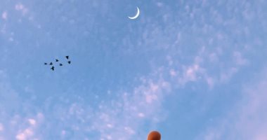 الثور والعذراء والقوس.. 3 أبراج هتحقق حلمها فى 12/12/2024