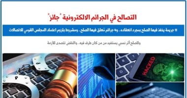  التصالح فى الجرائم الإلكترونية بين التطبيق والتأويل.. برلماني 