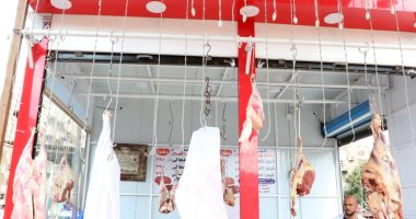 توفير اللحوم البلدية بالشرقية بسعر 290 جنيها للكيلو.. اعرف التفاصيل