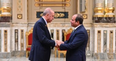 أردوغان يشكر الرئيس السيسي على استضافة قمة مجموعة الثمانى النامية