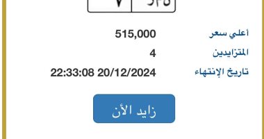 مزايدة شرسة بين 9 أشخاص يرفع سعر لوحة السيارة "ن م ر- 7 " لـ 11 مليون جنيه