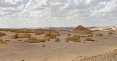 وادى الحيتان حكاية ما قبل التاريخ على أرض الفيوم.. عثر به على هياكل حيتان ترجع لـ40 مليون سنة.. المكان يوضح انتقال الحيتان من الثدييات البرية إلى العابرة للمحيطات.. وأعلنته اليونسكو كموقع تراث طبيعى عالمى.. صور