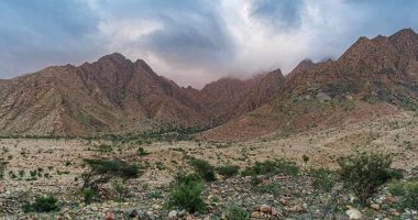 "علبه" عروس المحميات الطبيعية وأكبرها مساحة بالبحر الأحمر.. مقصدا مهما للطيور المهاجرة والحيوانات البرية النادرة.. تجمع بين التنوع الطبيعى والإنسانى ولكل العصور ذكرى بداخلها.. ومناطقها البحرية الأغنى بالشعاب 