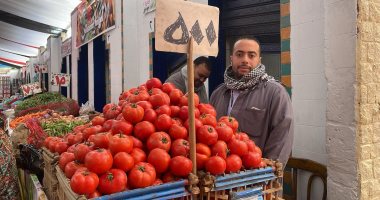 الطماطم بـ5 جنيهات.. تخفيضات على الخضراوات فى معرض محافظة الجيزة للسلع 