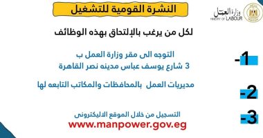 مديرية العمل بالقليوبية توفر 442 فرصة عمل فى 6 شركات بالقطاع الخاص