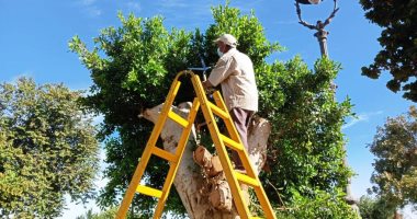 رؤساء الوحدات المحلية بأسوان تواصل إزالة المطبات العشوائية والمخلفات