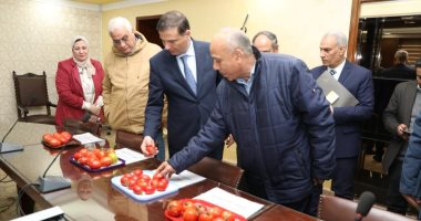 مدير معهد البساتين: استنباط صنفين جديدين للطماطم مناسبين للحرارة العالية استنباط 8 أصناف طماطم جديدة