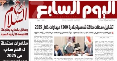 تشغيل محطات طاقة شمسية بقدرة 1200 ميجاوات خلال 2025.. غدا باليوم السابع