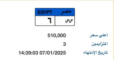 سعرها وصل نصف مليون جنيه.. منافسة قوية على لوحة سيارة "س س - 6" المميزة