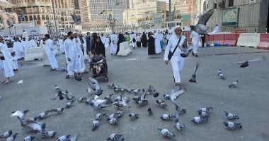 موقع الصالح : 
                                            6 أماكن حول العالم يحب المسافرون إليها اللعب مع الطيور.. منها بورسعيد
                                        