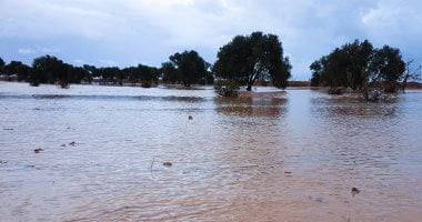 الأمطار مصدر الحياة فى صحراء مطروح.. حصاد المياه فى الآبار والخزانات لرى الزراعات فى الوديان.. المحافظ: تلقينا إنذارات من هيئة الأرصاد بحدوث حالة من عدم استقرار الأحوال الجوية.. وجاهزون بفرق طوارئ للتدخل السريع حصاد مياه الامطار واستغلالها في الزراعة - مطروح