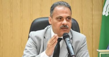 إنشاء كوبرى جديد بأبو حماد فى الشرقية لتخفيف الزحام المحافظ المهندس حازم الأشموني