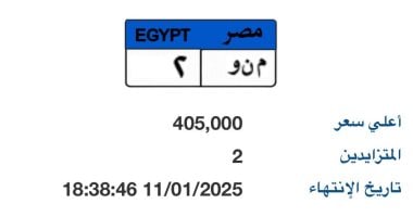 طرح لوحة سيارة مميزة تحمل رقم "م ن و - 2" بسعر 400 ألف جنيه