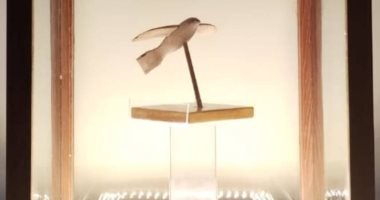 مقتنيات المتحف المصري.. نموذج خشبي لطائر من زمن الفراعنة