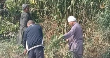 محافظ المنيا: زراعة 45 ألف شجرة بالمرحلة الثانية لمبادرة "100 مليون شجرة"