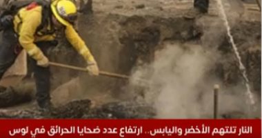النار تلتهم الأخضر واليابس فى حرائق لوس أنجلوس بالولايات المتحدة "فيديو"