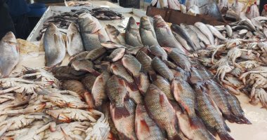 أسعار الأسماك اليوم الأحد 12- 1- 2025 فى الإسماعيلية