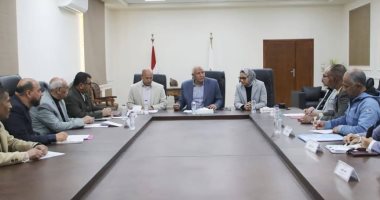 محافظ الوادى الجديد يلتقى رئيس هيئة التعمير لمناقشة مشروع الجذب بأبو طرطور