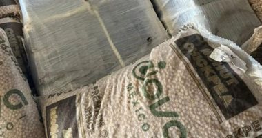 ضبط 1120 كيلو جرام من الكوكايين مخبأة فى أكياس "حمص" بميناء برشلونة كوكايين مخبئ فى أكياس حمص