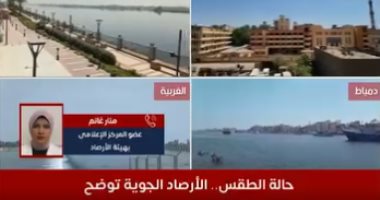 كيف حمى الله مصر من الحرائق الشبيهة بأمريكا.. الأرصاد تجيب "فيديو"