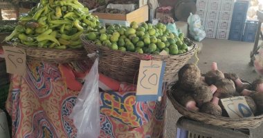محافظة الجيزة تفتتح منفذا لبيع الخضراوات والفواكه للمواطنين بسعر الجملة سعر الخضروات