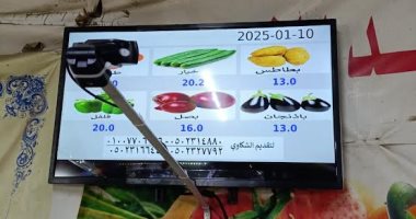عرض أسعار الخضراوات الأساسية على شاشات إلكترونية فى 13 منفذا بالمنصورة 