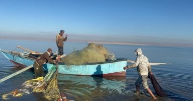 الفيوم تستعد لمرحلة جديدة من التنمية.. بحيرة قارون تعود للحياة.. إجراءات لضخ مزيد من زريعة الأسماك ويرقات الجمبري.. المحافظ يتابع نتائج التحاليل الدورية لمياه البحيرة.. الثروة السمكية: نجري التحاليل مرتين