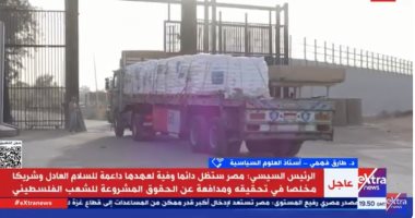 أستاذ علوم سياسية: ما قامت به مصر تجاوز كل الأدوار الأخرى فى الصراع التاريخى