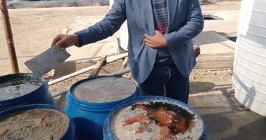 ضبط 11 طن مخلل غير صالح للاستهلاك الآدمى و10 أطنان ملح مجهولة المصدر بكفر الشيخ