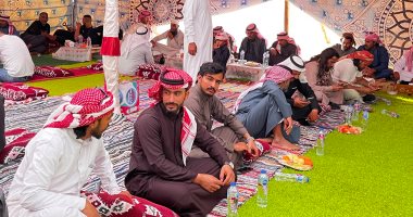 استقبال حافل للضيوف العرب فى اليوم الختامى لمهرجان الهجن بشرم الشيخ.. فيديو
